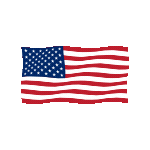 USA Flag